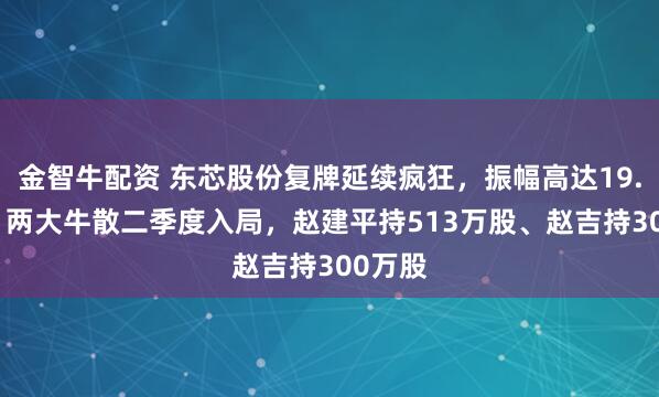金智牛配资 东芯股份复牌延续疯狂，振幅高达19.49%，两大牛散二季度入局，赵建平持513万股、赵吉持300万股